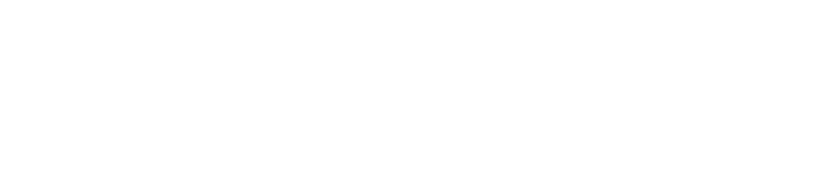 STOLARIUM Logo biele
